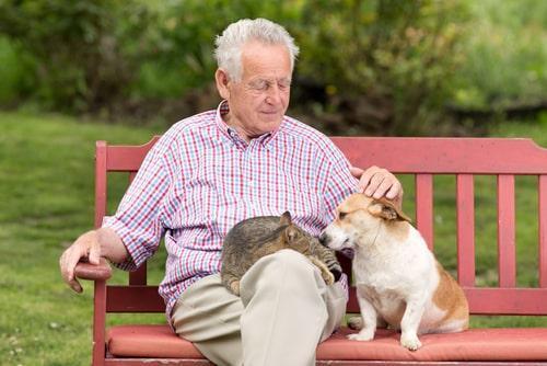 Lombard IL estate planning attorney